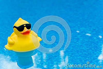 Rubber Duck on Blue Stock Photo