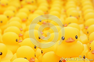 Rubber Duck Stock Photo