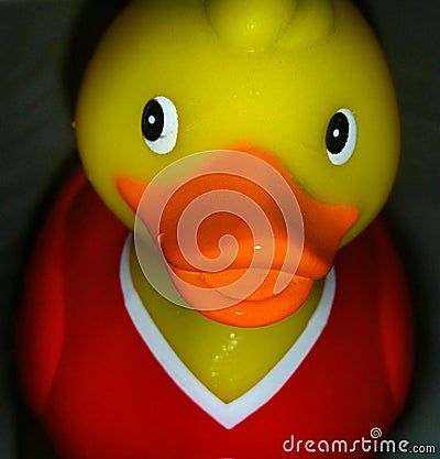 Rubber Duck Stock Photo