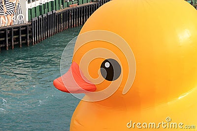 Yellow, vertebrate, orange, water, bird, ducks, geese, and, swans, inflatable, beak, duck, recreation Editorial Stock Photo