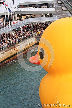 Water, yellow, vertebrate, bird, leisure, duck, ducks, geese, and, swans, beak, fun, waterfowl, recreation Editorial Stock Photo