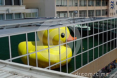 Rubber Duck floats in Hong Kong - the reflection Editorial Stock Photo