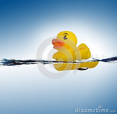 Rubber duck in water Stock Photo