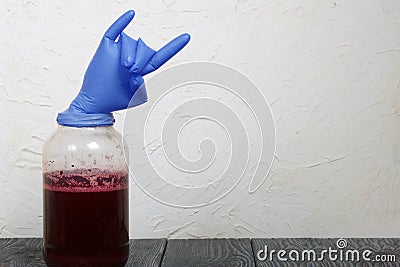 A rubber glove on a can of fermenting grape wine. Inflated from fermentation gases. The fingers are bent in a Sign of the horns. Stock Photo