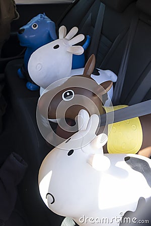Rubber inflatable white cows, brown horse and blue dog animal toys on the back seat of a car, with the seat belt fastened. with Stock Photo