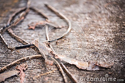 Rubber parts of washing tank. The rubber cord that has deteriorated from use for a long time has been removed. Stock Photo