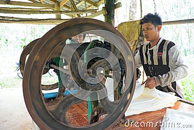 Rubber production Editorial Stock Photo