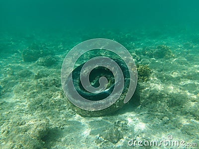 Rubber tire under water in the sea. Stock Photo