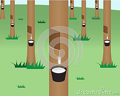 Rubber tree jungle in flat style Vector Illustration