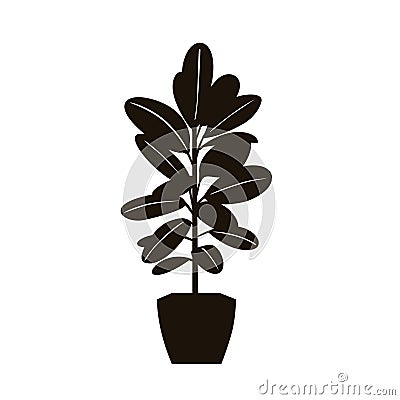 Rubber tree plant in a pot silhouette in black color Vector Illustration