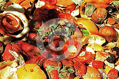 Rubbish heap with kitchen waste Stock Photo