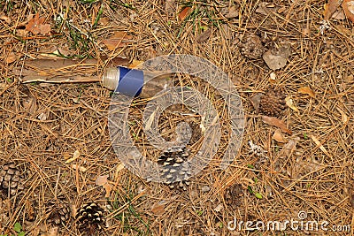 Rubbish in nature. Nature pollution of a broken glass bottle Stock Photo