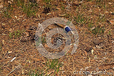 Rubbish in nature. Nature pollution of a broken glass bottle Stock Photo