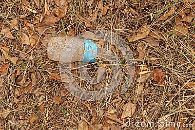 Rubbish in nature. Nature pollution of a plastic bottle Stock Photo