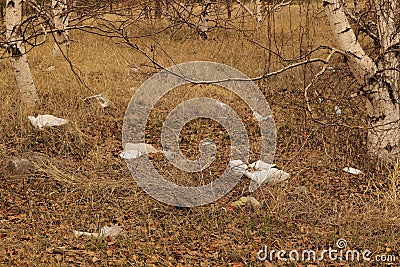 Rubbish in nature. There`s a lot of garbage in the forest Stock Photo