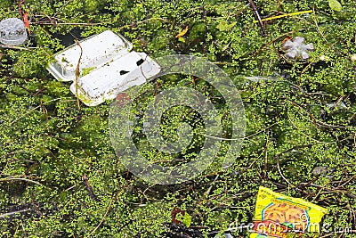 Rubbish polluting a fresh water lagoon. Editorial Stock Photo