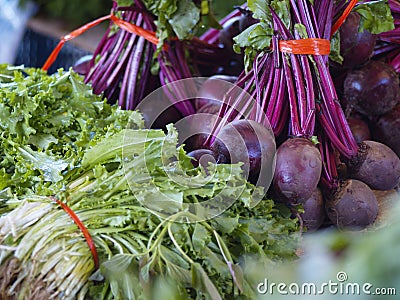 Rucola and beetroots Stock Photo