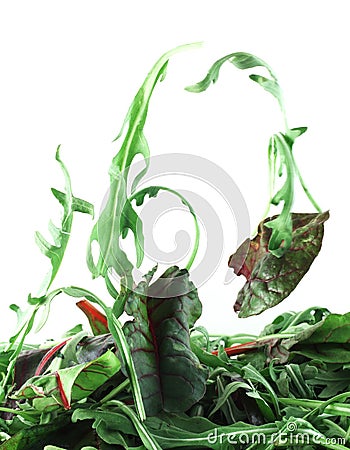 Rucola and Chard salad lightness concept Stock Photo