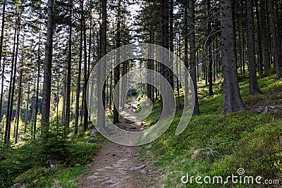 Rudawy Janowickie Landscape Park. Mountain range in Sudetes in Poland. View from Mala Ostra hill Stock Photo