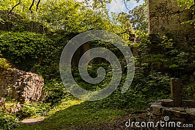 Bushes and constructions in ruins of Bolczow castle Stock Photo