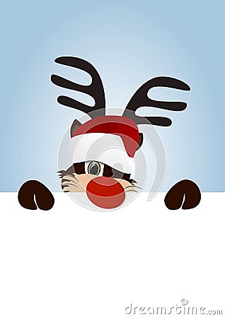 Rudolf the red nose reindeer Stock Photo