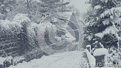 Rue de Milou de ville de montagne, calamité de neige Paysage d'hiver avec la neige en baisse banque de vidéos Rue de Milou de ville de montagne, calamité de neige Paysage d'hiver avec la neige en baisse banque de vidéos