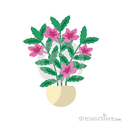 Ruellia house plant Vector Illustration