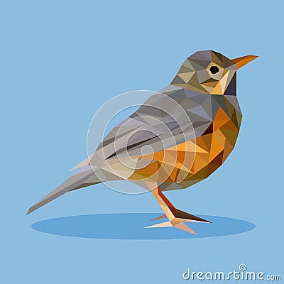 Rufous-bellied thrush in polygon style. Vector Illustration