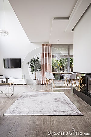 Rug on hardwood floor in a stylish, open space living room inter Stock Photo