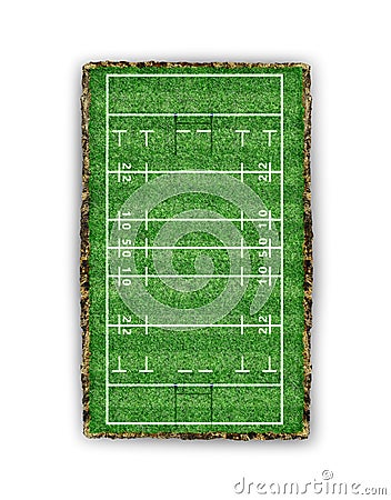 Rugby field. view from above Cartoon Illustration