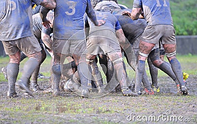 Rugby match. Stock Photo