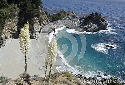 Rugged Central Coast Waterfall Stock Photo