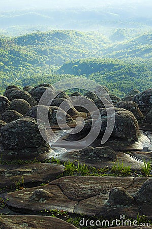 Rugged cliff on green forest Stock Photo