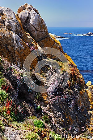 Rugged Coast of Pt Lobos Stock Photo