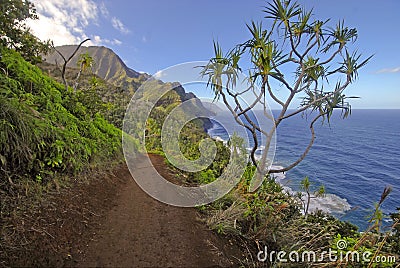 Rugged Coastline and Cliffs along the Kalalau Trail of Kauai, Hawaii Stock Photo