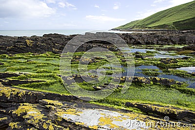 Rugged Coastline in Ireland Stock Photo