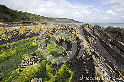 Rugged Coastline in Ireland Stock Photo