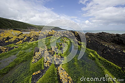 Rugged Coastline in Ireland Stock Photo