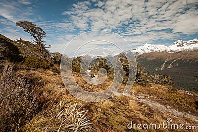 Rugged Darran Mountains from Routeburn Track Stock Photo