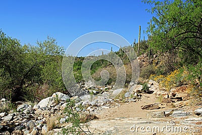 Rugged Hiking Trail in Bear Canyon in Tucson, AZ Stock Photo