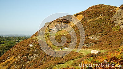 Rugged hill above White Coppice. Stock Photo