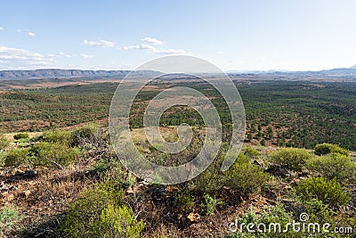 Rugged outback scenery surrounding the Wilpena Pound region of the Flinders Ranges Stock Photo