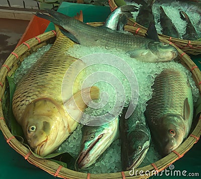 Bengali fish Rui, boal, and curf . Stock Photo