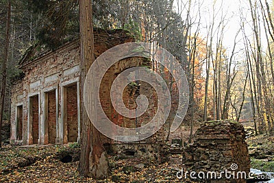 Ruin in forest Stock Photo