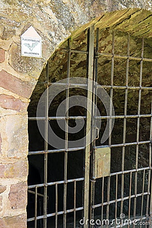 Ruin Schoenrain in the Spessart Stock Photo