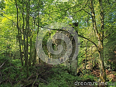 A ruined ancient stone building surrounded by green forest trees in bright sunlight originally called staups mill Stock Photo