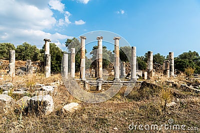 Ruined columns of Ionic double colonnade stoa in Agora market place area of Nysa ancient city in Aydin province of Turkey Stock Photo