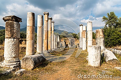 Ruined columns of Ionic double colonnade stoa in Agora market place area of Nysa ancient city in Aydin province of Turkey Stock Photo