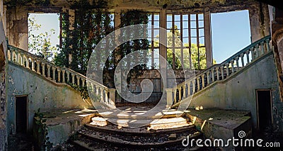 Ruined mansion interior overgrown by plants Overgrown by ivy windows and old staircase Stock Photo