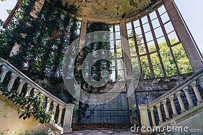 Ruined mansion interior overgrown by plants Overgrown by ivy windows and old staircase. Stock Photo